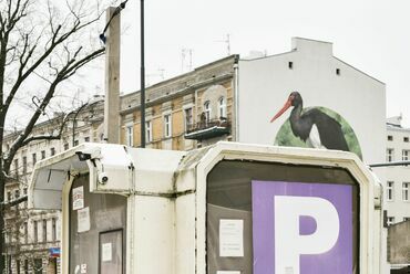 Olajos Ilka Panel című kiállítása a K11 Laborban, a Budapest Fotó Fesztivál keretében