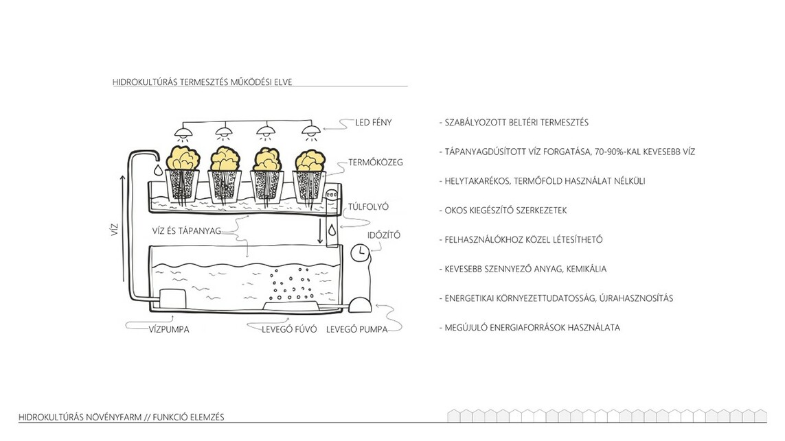 Hidrokultúrás Növényfarm – Virág Evelin diplomamunkája