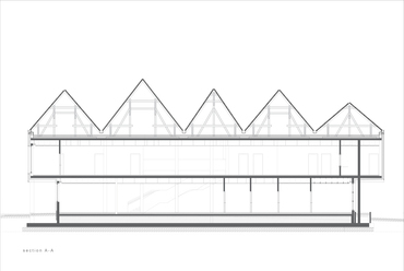 DBA: Adice Health Center. Metszet