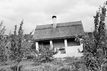 Sajkod, Mályva utca 6. (Nyaraló 12), Németh László író nyaralója, 1963 / Forrás: Fortepan 106792, Hunyady József