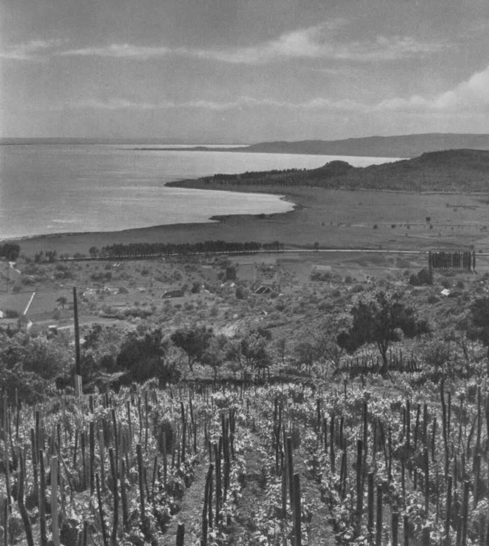 Forrás: Illyés Gyula – Reismann János: Balaton. Corvina Kiadó, Budapest, 1962. Digitális Irodalmi Akadémia: https://konyvtar.dia.hu/xhtml/illyes_gyula/Illyes_Gyula-Balaton.xhtml