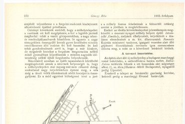 A MÁV Istvántelki Főműhelye. Forrás: Magyar Mérnök, 1903