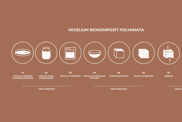 Micélium biokompozit folyamata - Micélium tudásközpont a Téglagyári-völgyben- Krusinszky Kitti diplomaterve.