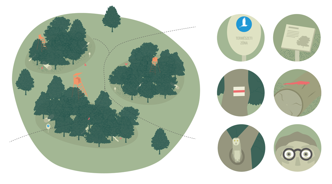 Természeti zónák vadlesekkel, holtfákkal és ismeretterjesztő elemekkel