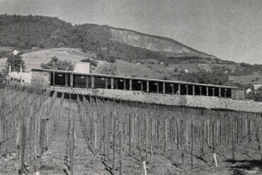 Szőlőskert étterem. Forrás: Magyar Építőművészet 9 (1960) 6. 19.
