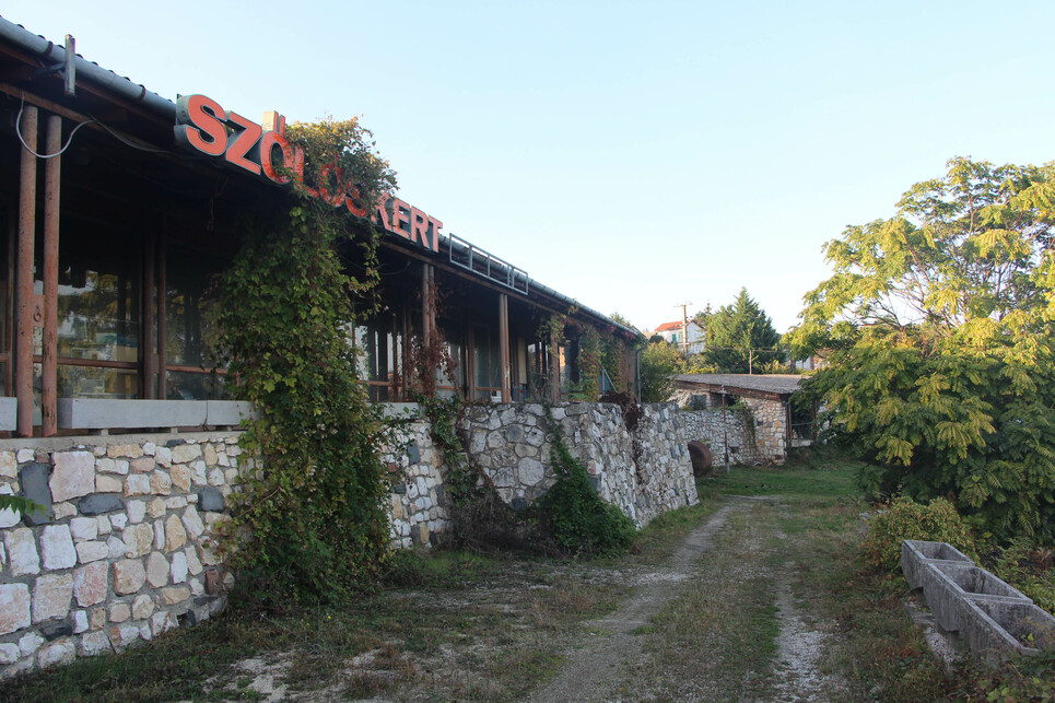 Badacsony, Szőlőskert étterem / Fotó: Wettstein Domonkos
