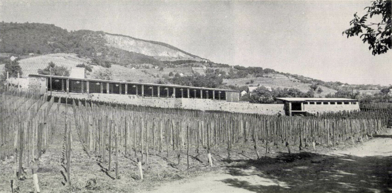 Szőlőskert étterem. Forrás: Magyar Építőipar 8 (1959) 9. 458.
