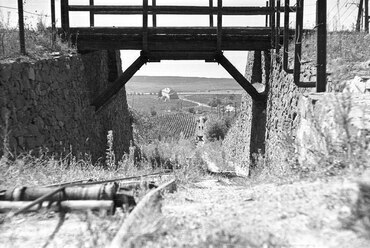 Badacsony, kőszállító csille sínpályája, 1959 / Forrás: Fortepan 45044, Mészáros Zoltán
