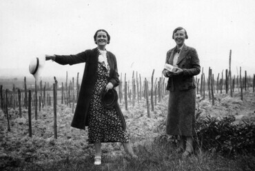 Zalahaláp, szőlőhegy, jobbra a háttérben a Szent György-hegy sziluettje látszik, 1937. Forrás: Fortepan 46201 / Vojnich Pál
