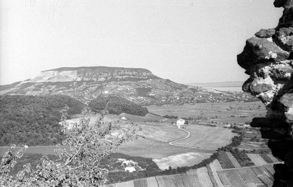 Szigliget, kilátás a várból a Badacsonyra, 1954 / Forrás: Fortepőan 45832, Krasznai Gyula
