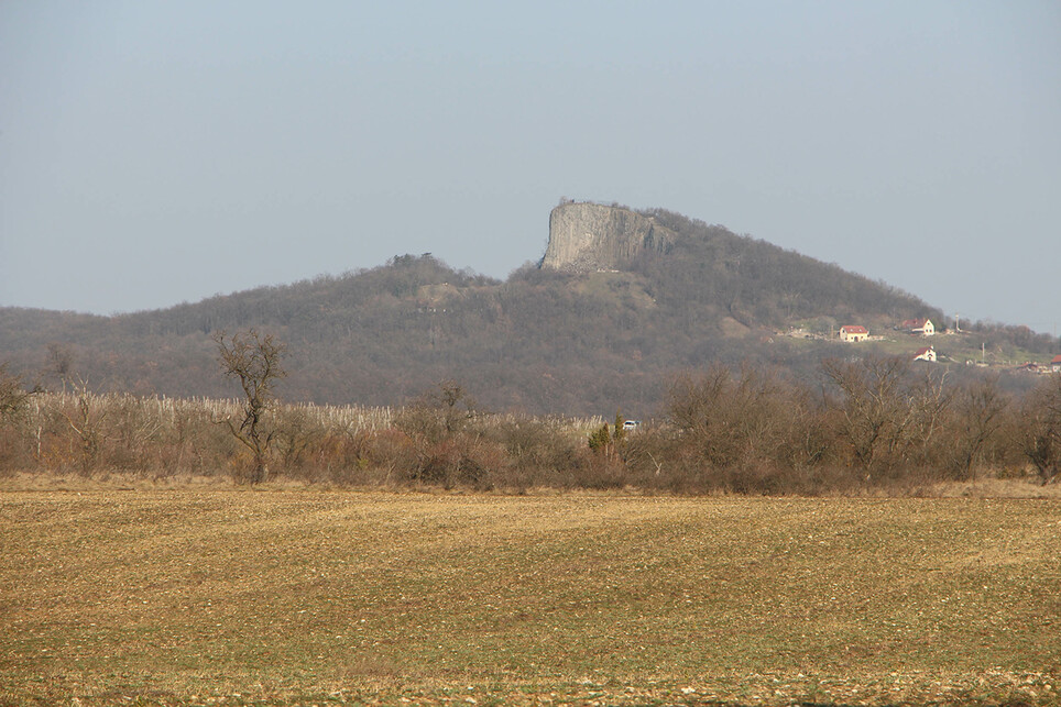 Hegyestű / Fotó: Wettstein Domonkos

