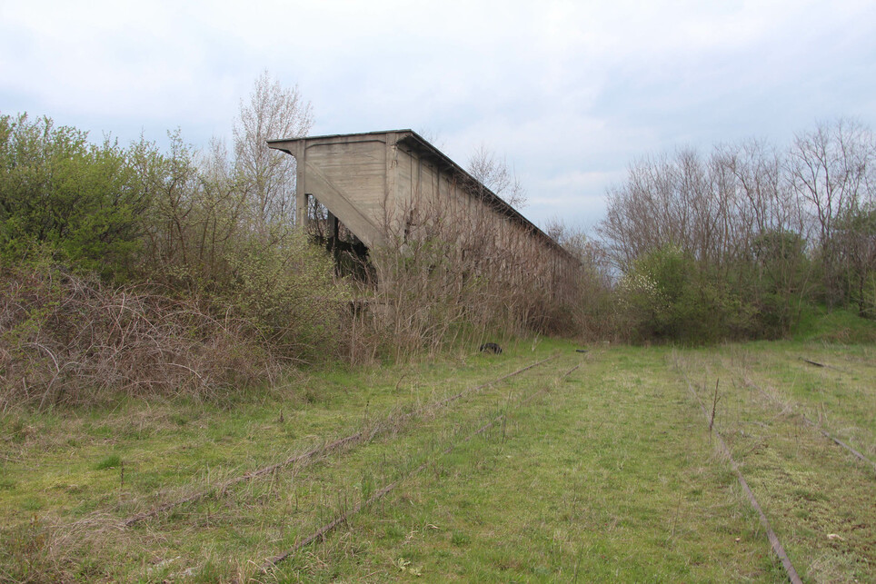 Zalahaláp, kőrakodó / Fotó: Wettstein Domonkos
